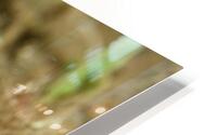 Philipines 170 HD Metal print