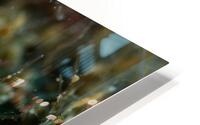 Philipines 237 HD Metal print