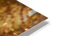 Philipines 283 HD Metal print
