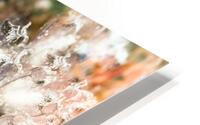Philipines 336 HD Metal print