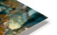 Philipines 353 HD Metal print