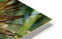 Philipines 372 HD Metal print