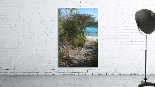 Bonaire Pathway Wall Preview
