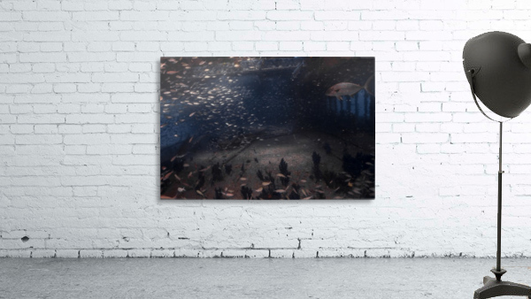 Cave 2 Wall Preview