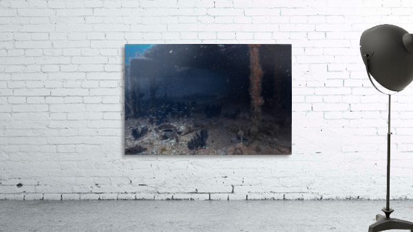 Wreck Dive Wall Preview