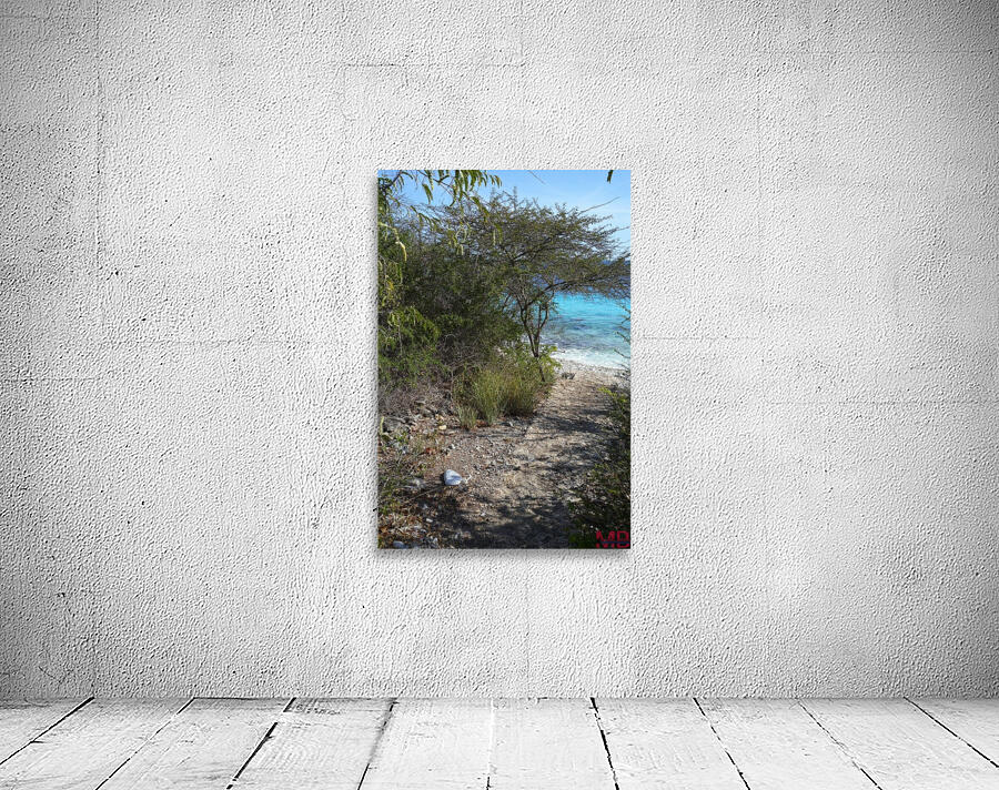 Pathway Wall Preview