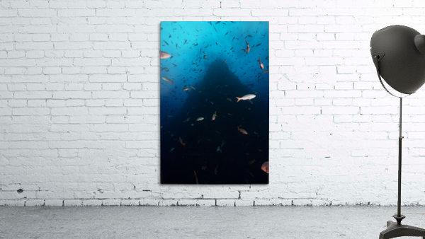 Up Shot Wall Preview