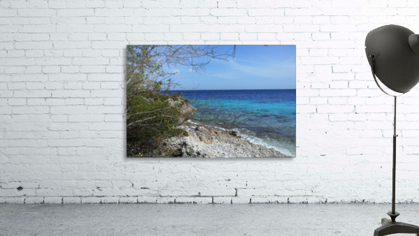 Bonaire Beach Scape Wall Preview