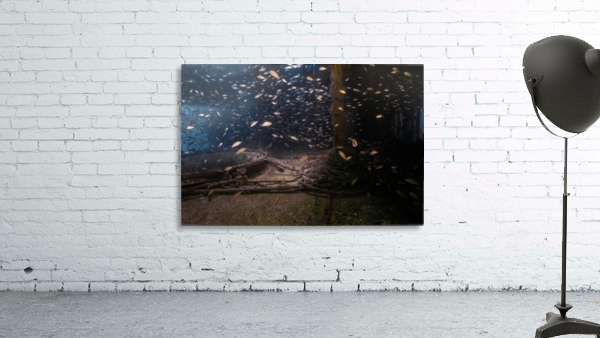 Cave Wall Preview