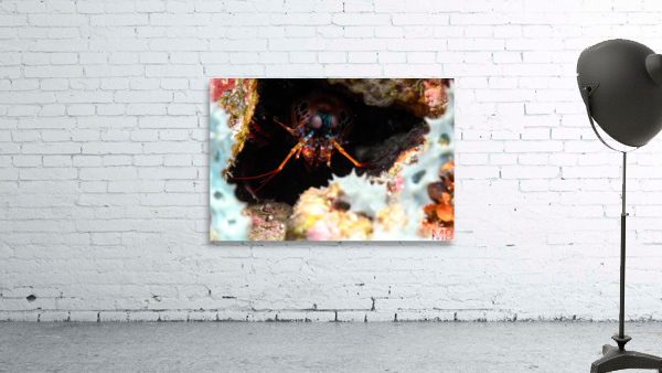 Philipines 35 Wall Preview