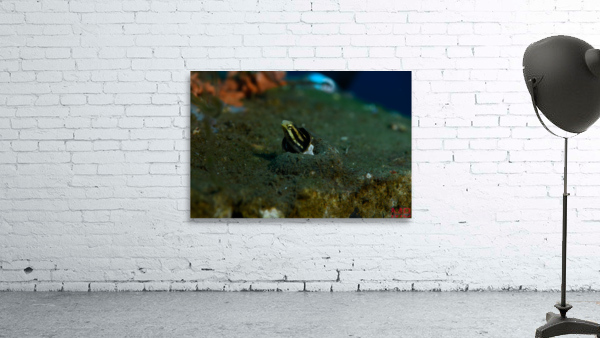 Philipines 269 Wall Preview