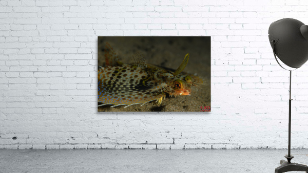Philipines 325 Wall Preview