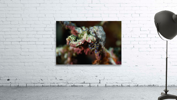 Philipines 383 Wall Preview