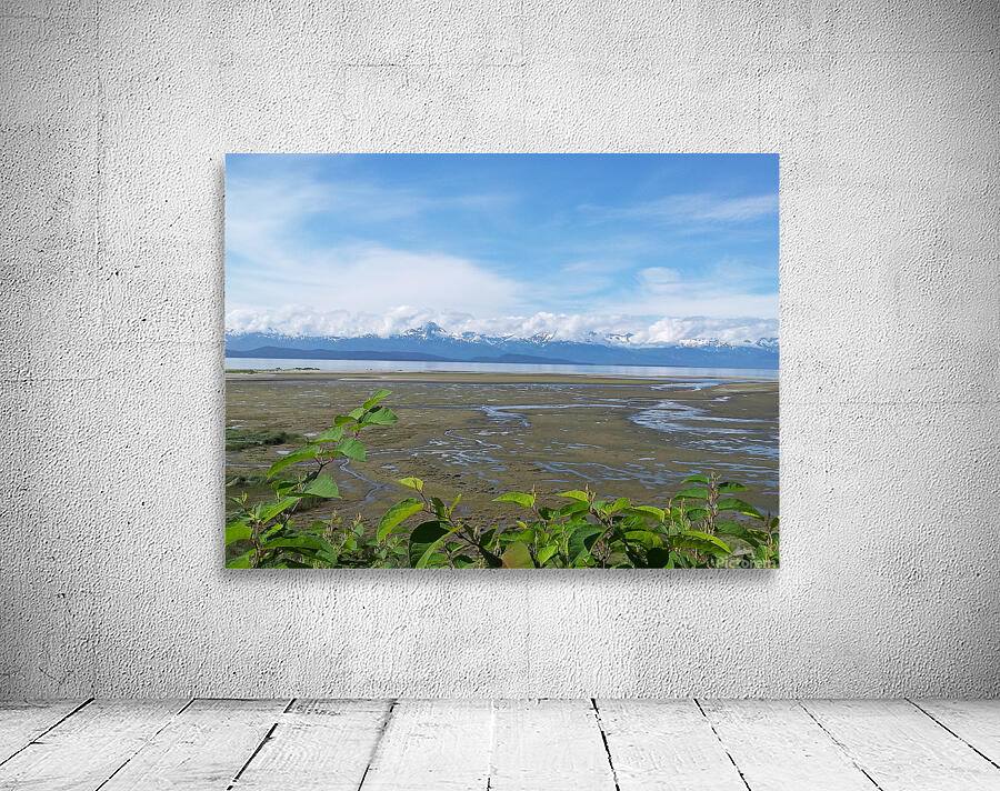 Alaskan Mountain Range with Clouds  Wall Preview
