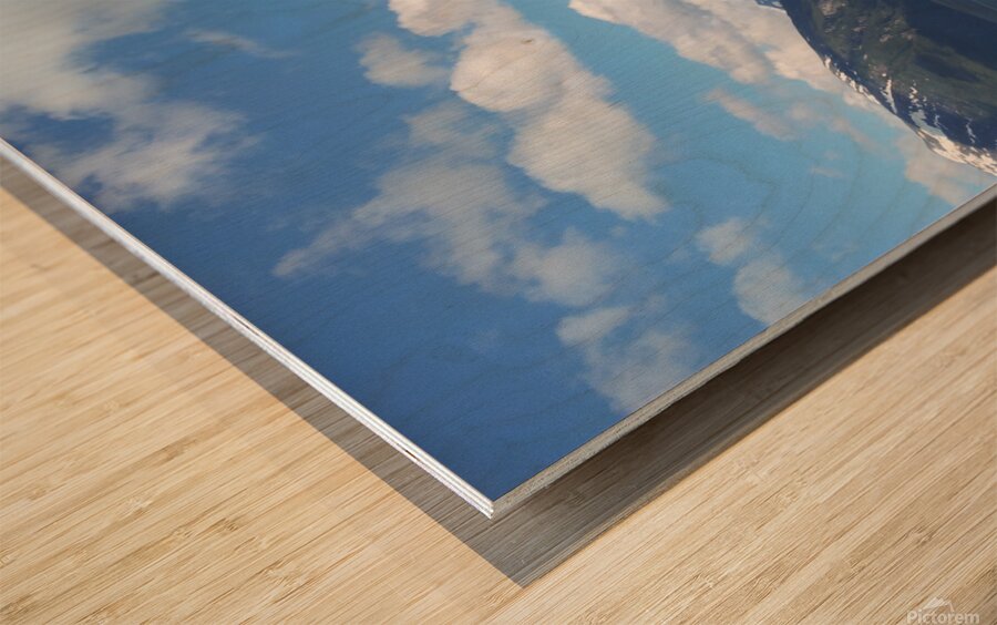 May   start of June 2012 439 Wood print