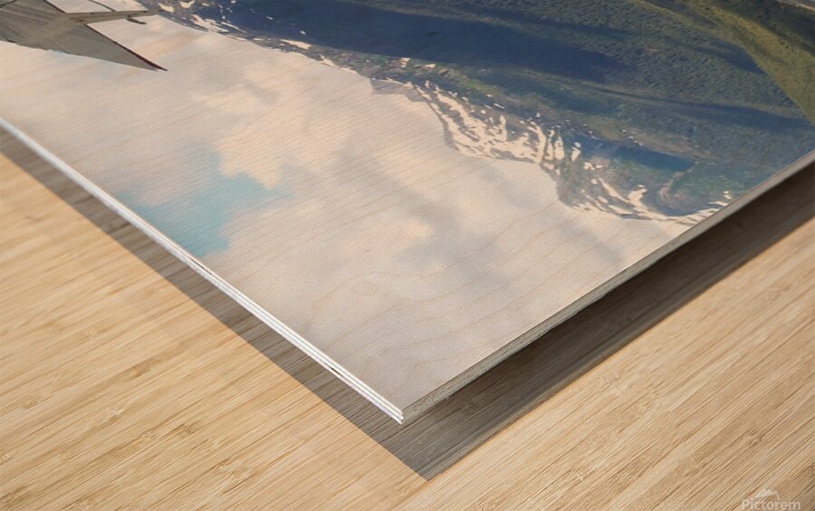 May   start of June 2012 436 Wood print