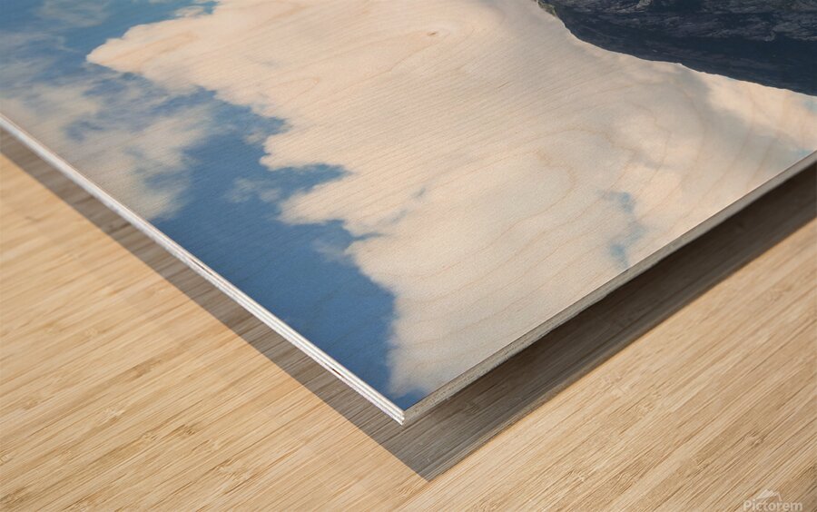 May   start of June 2012 443 Wood print