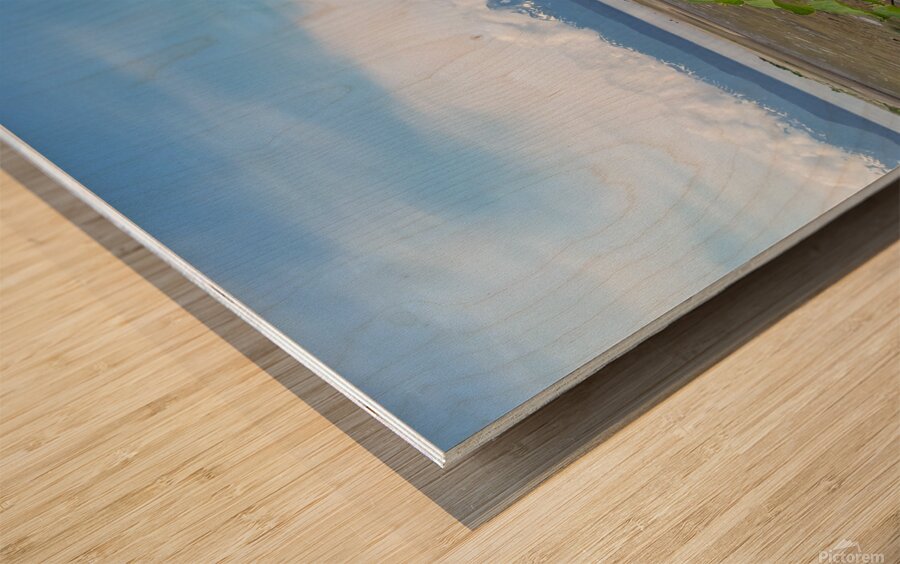 Alaskan Mountain Range with Clouds  Wood print