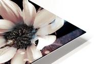 Sunflowers  HD Metal print