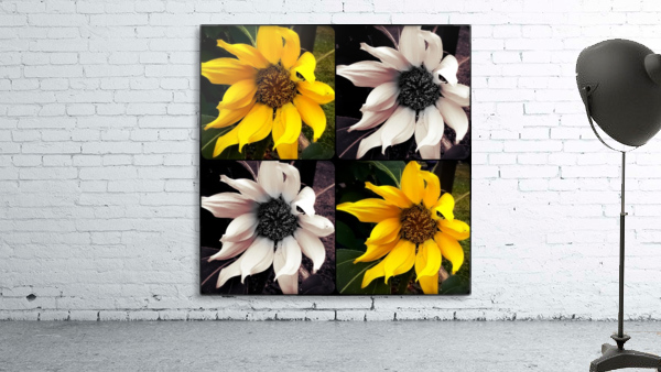 Sunflowers  Wall Preview
