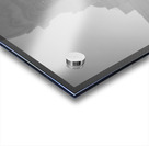 A Womans Place...is in The Revolution.  Acrylic print