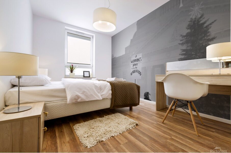 A Womans Place...is in The Revolution.  Mural print