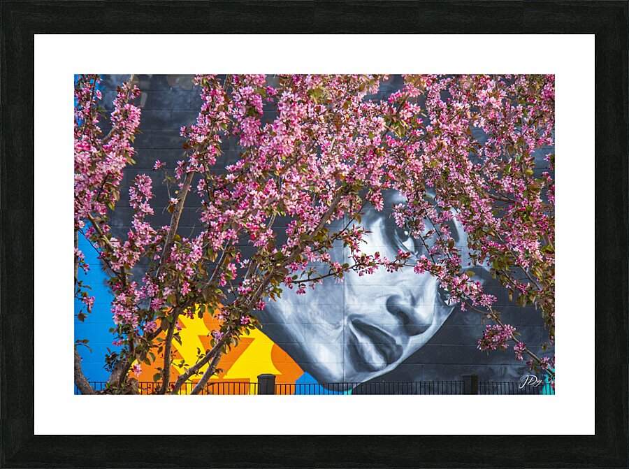 Blossoming...  Picture Frame print