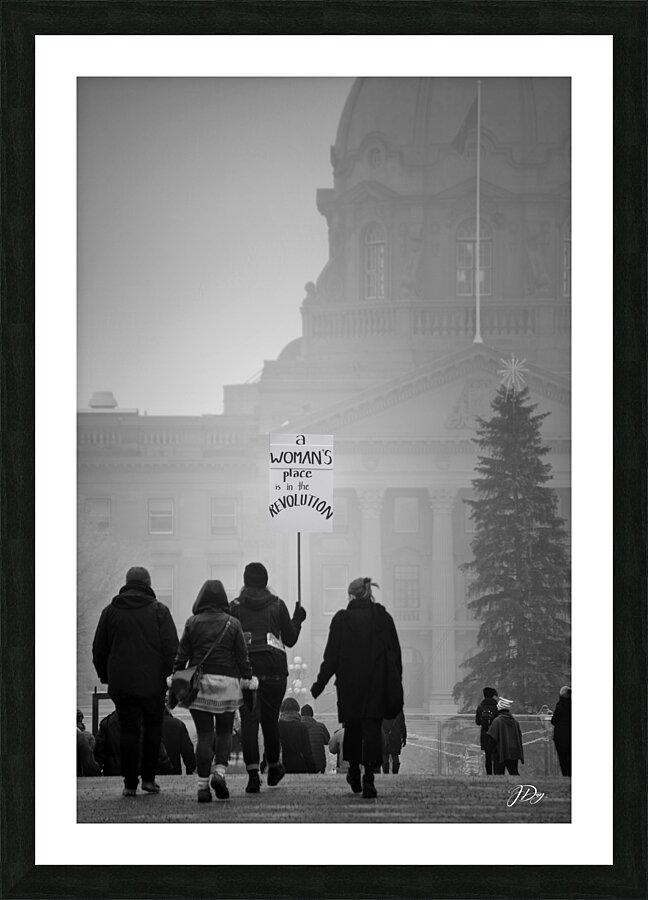 A Womans Place...is in The Revolution.  Picture Frame print