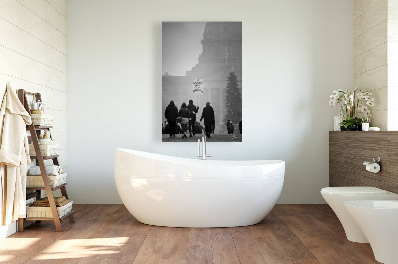 A Womans Place...is in The Revolution.  Reproduction