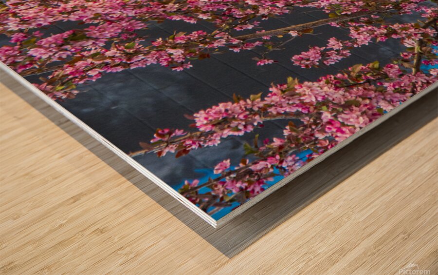 Blossoming...  Wood print