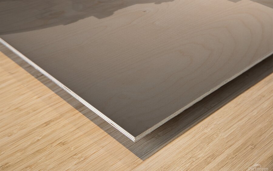 A Womans Place...is in The Revolution.  Wood print