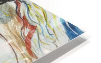 Wind Rider HD Metal print
