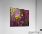 Flowertrix Acrylic Print