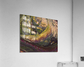 Aliena Acrylic Print