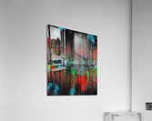 Reflection Acrylic Print