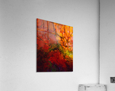 Absortexion Acrylic Print