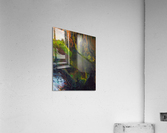 Jungle Acrylic Print