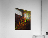 Dragon eye Acrylic Print