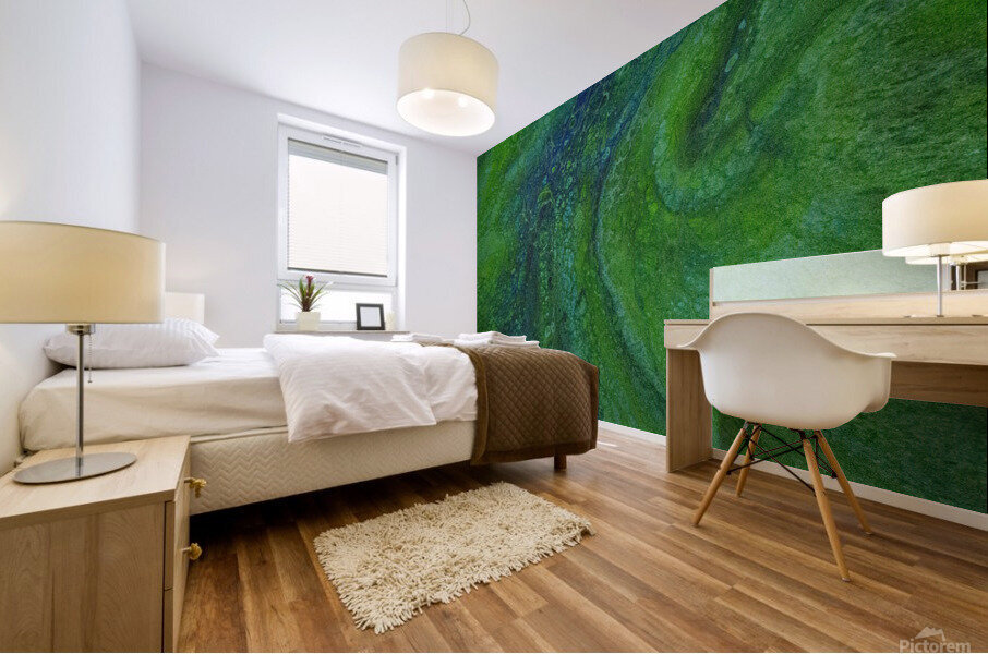 Blucide Mural print