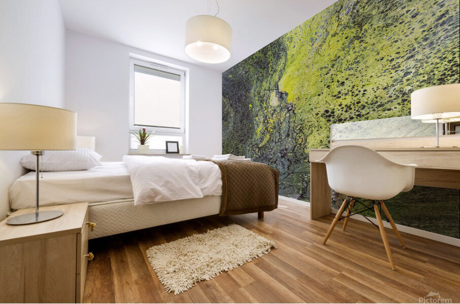 LightSoul Mural print