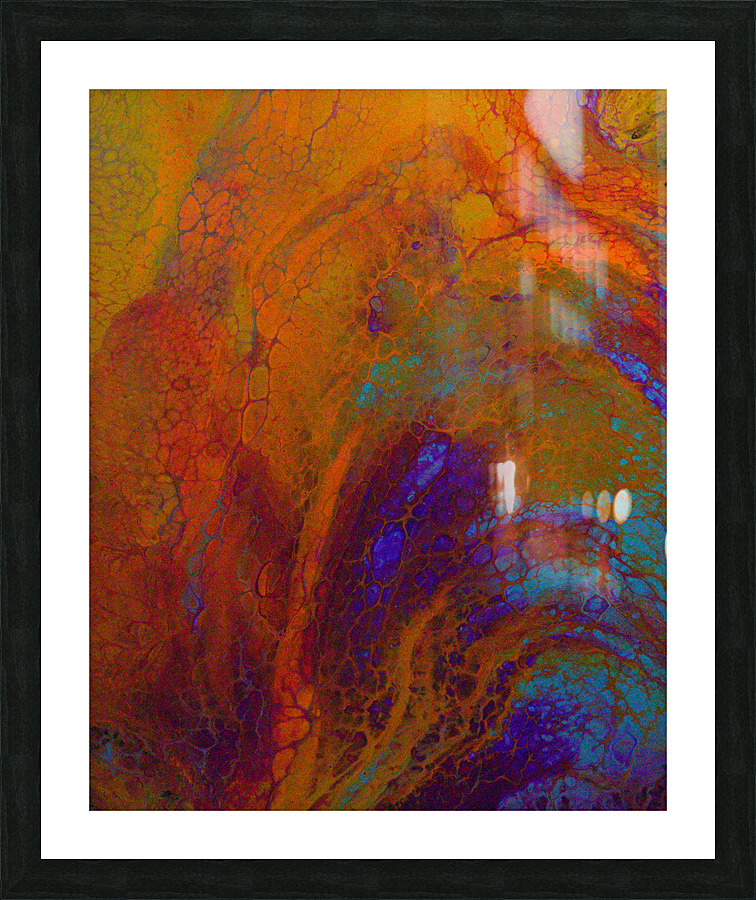 Parrot Fish Picture Frame print
