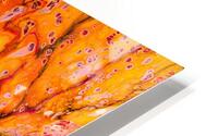 Absortexion HD Metal print