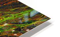 Dragon eye HD Metal print