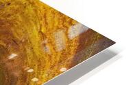 Jupter HD Metal print