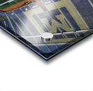 Big House 1 Acrylic print