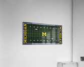 Big House 3 Acrylic Print