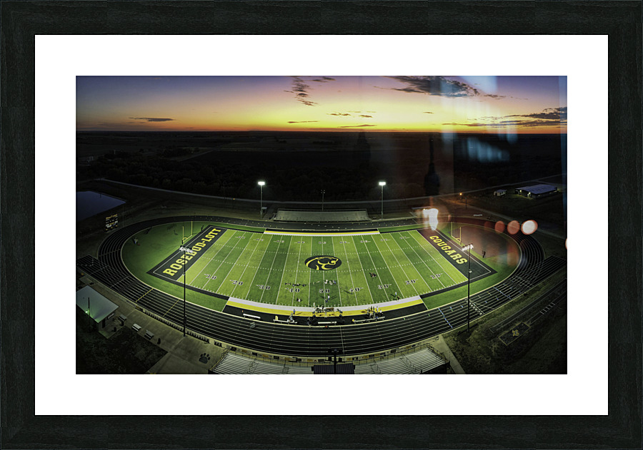 Rosebud Sunset 3 Picture Frame print