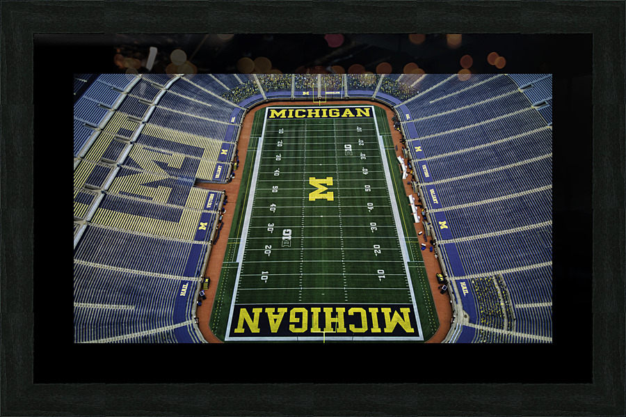 Big House 1 Picture Frame print