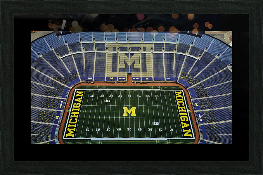 Big House 5 Picture Frame print