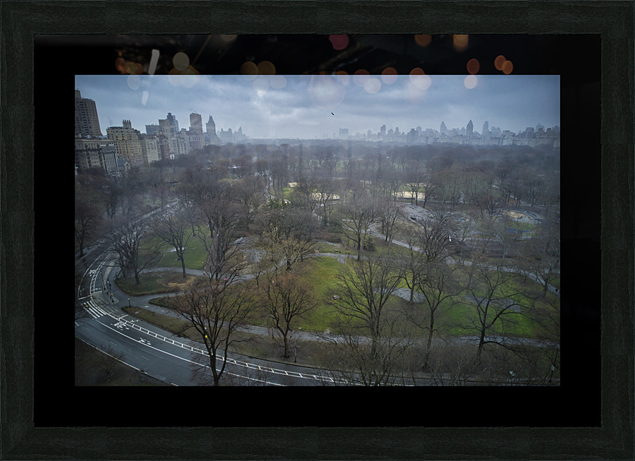Central Park 24 Picture Frame print